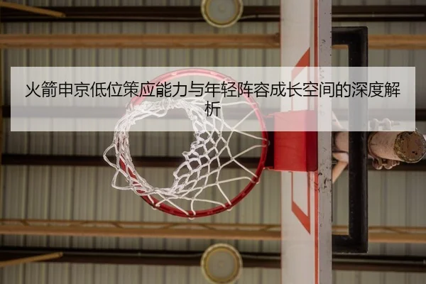火箭申京低位策应能力与年轻阵容成长空间的深度解析