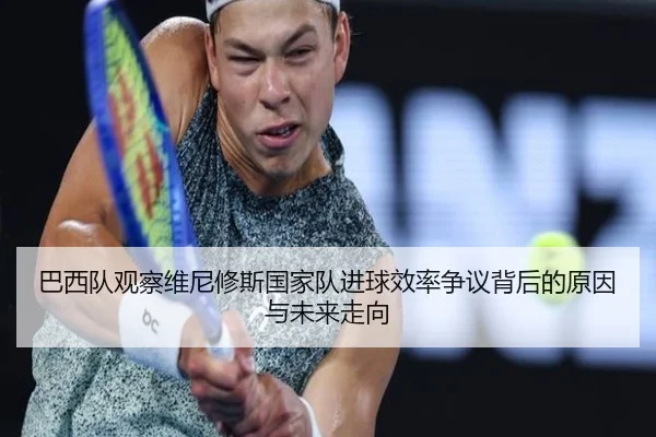巴西队观察维尼修斯国家队进球效率争议背后的原因与未来走向